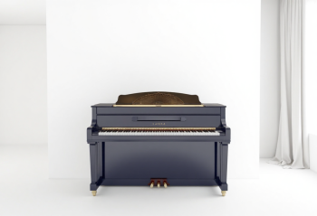 Piano, đàn piano, nhạc cụ, instrument, music, âm nhạc, giải trí 6