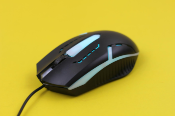 Chuột, con chuột, chuột máy tính, mouse, điện tử, công nghệ - Talha Irshad