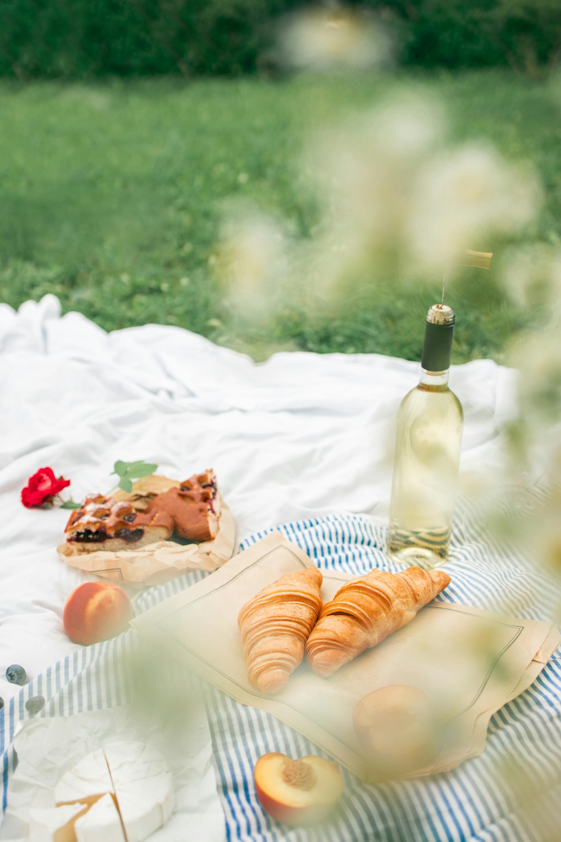 Picnic, bánh, trái cây, cắm trại, camping - Maksim Goncharenok