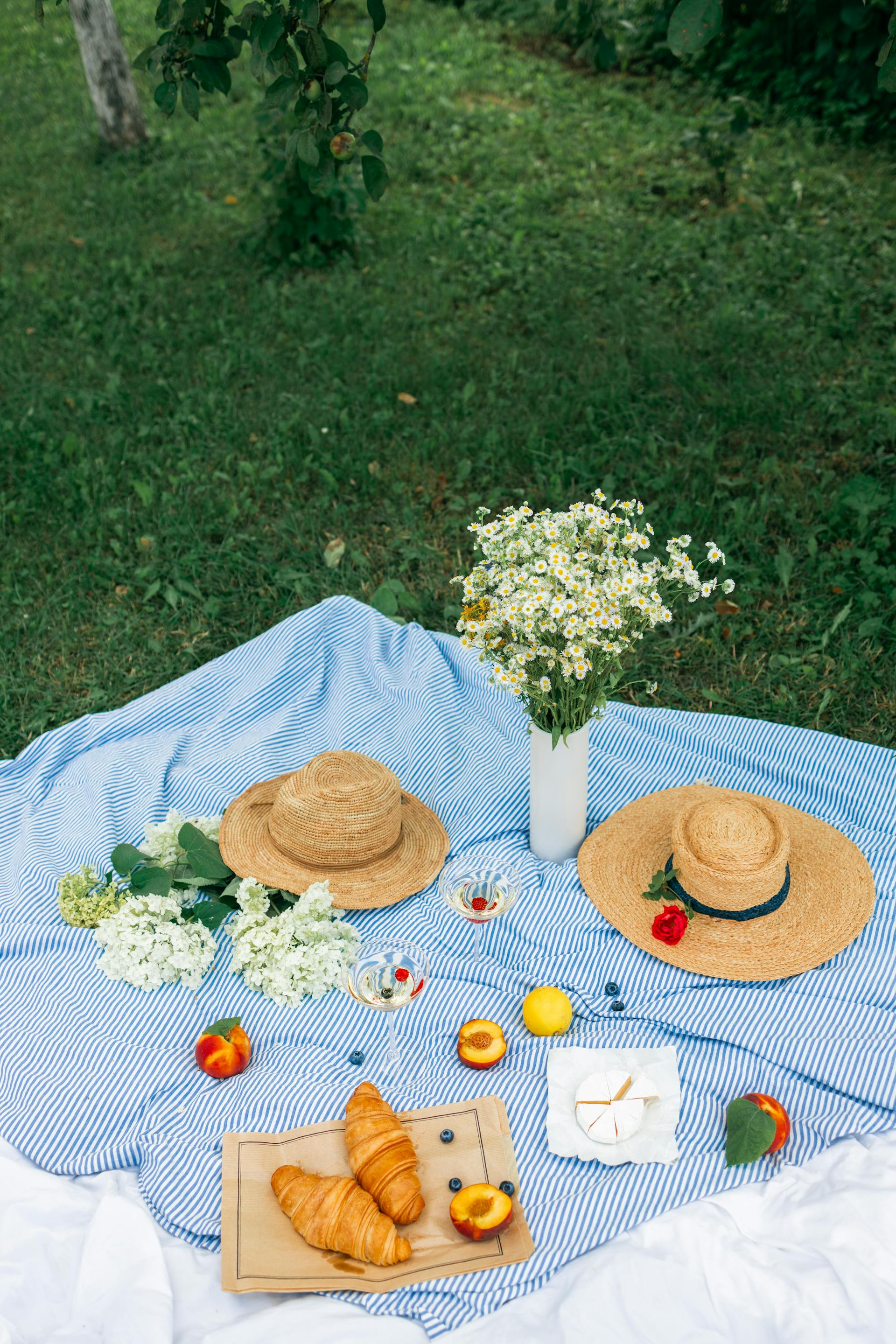 Picnic, bánh, trái cây, cắm trại, camping - Maksim Goncharenok 3