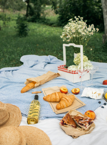 Picnic, bánh, trái cây, cắm trại, camping - Maksim Goncharenok 5