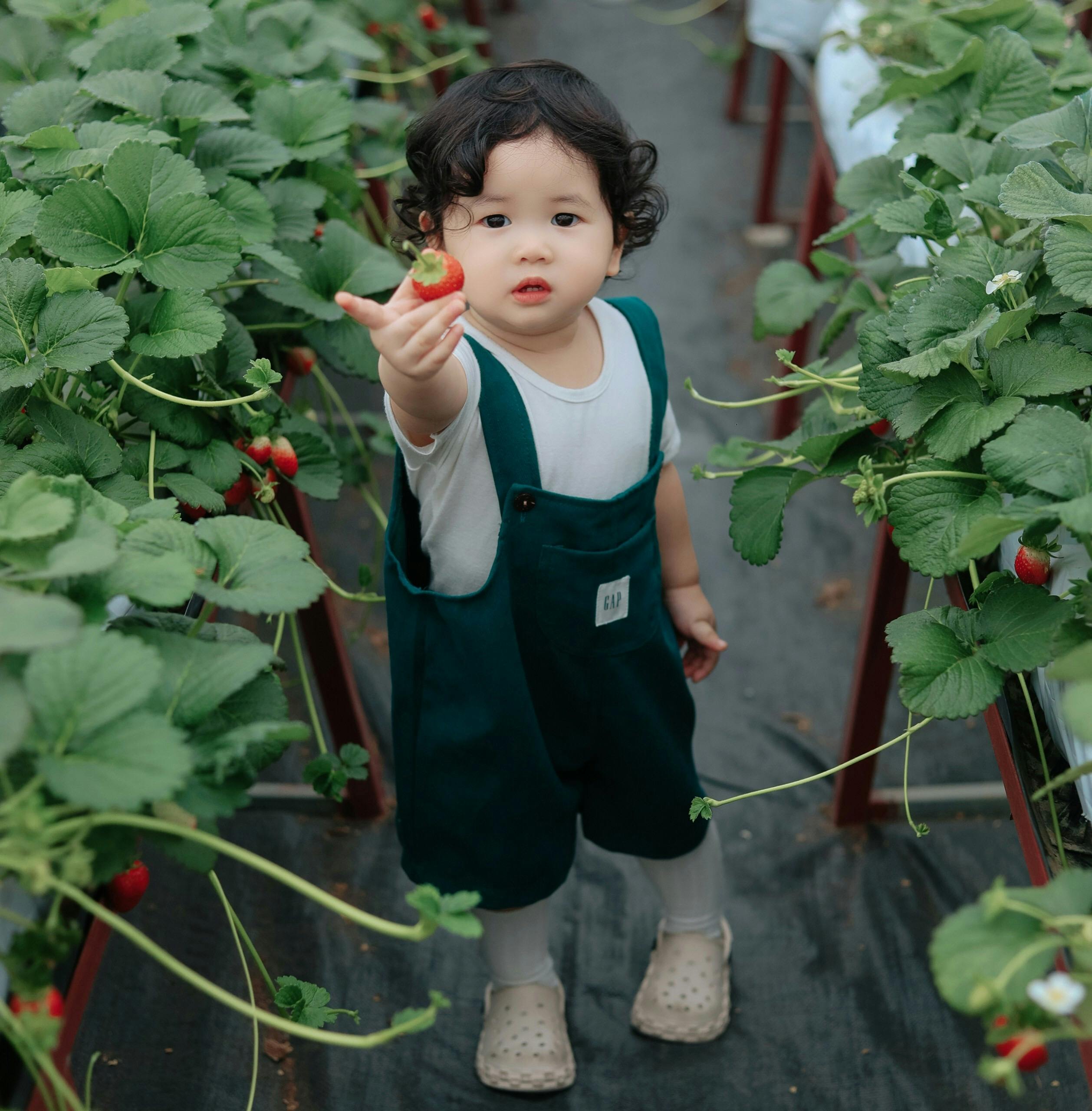 Em bé, trẻ em, con gái, girl, kids, chụp ảnh, vui vẻ- Mochi mochi 4