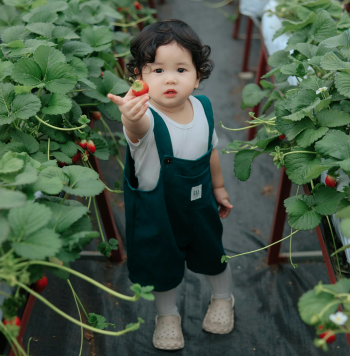 Em bé, trẻ em, con gái, girl, kids, chụp ảnh, vui vẻ- Mochi mochi 4