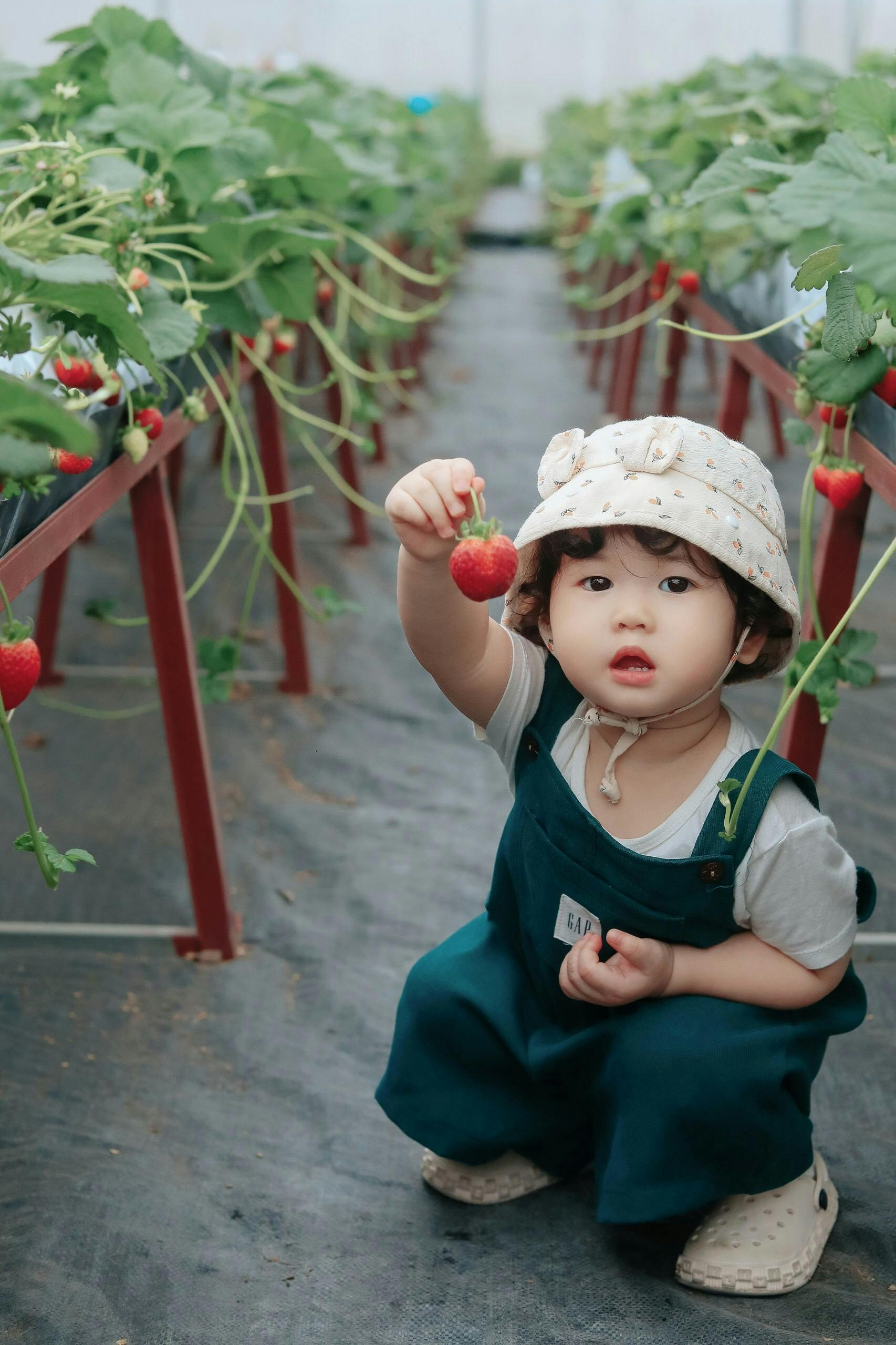 Em bé, trẻ em, con gái, girl, kids, chụp ảnh, vui vẻ- Mochi mochi 8
