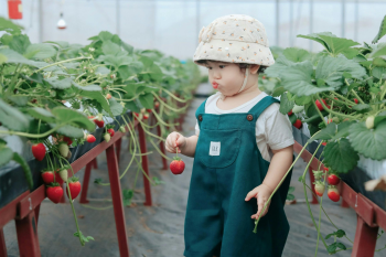 Em bé, trẻ em, con gái, girl, kids, chụp ảnh, vui vẻ- Mochi mochi 13