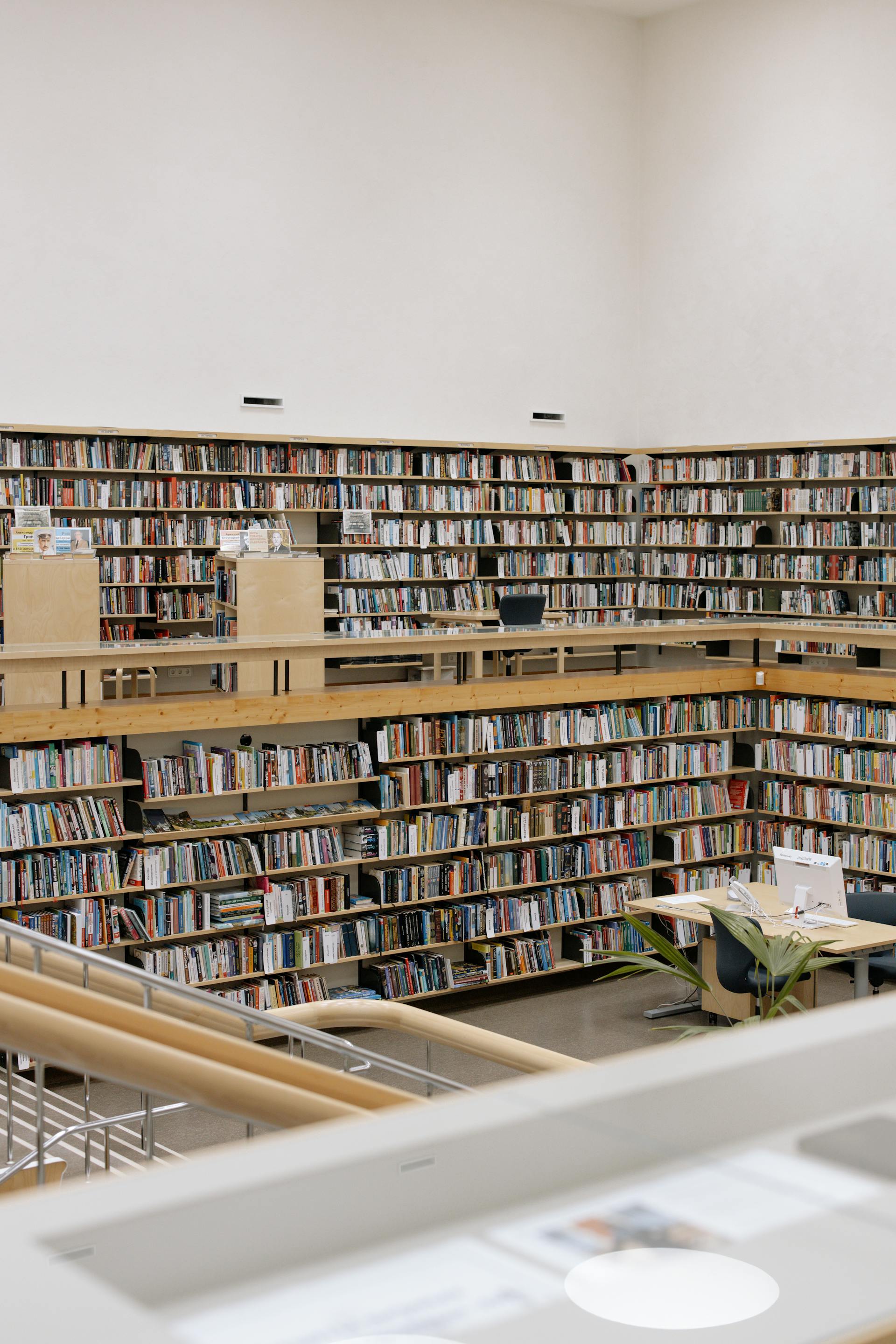 Thư viện, lybrary, trường học, school, sách, book - cottonbro studio