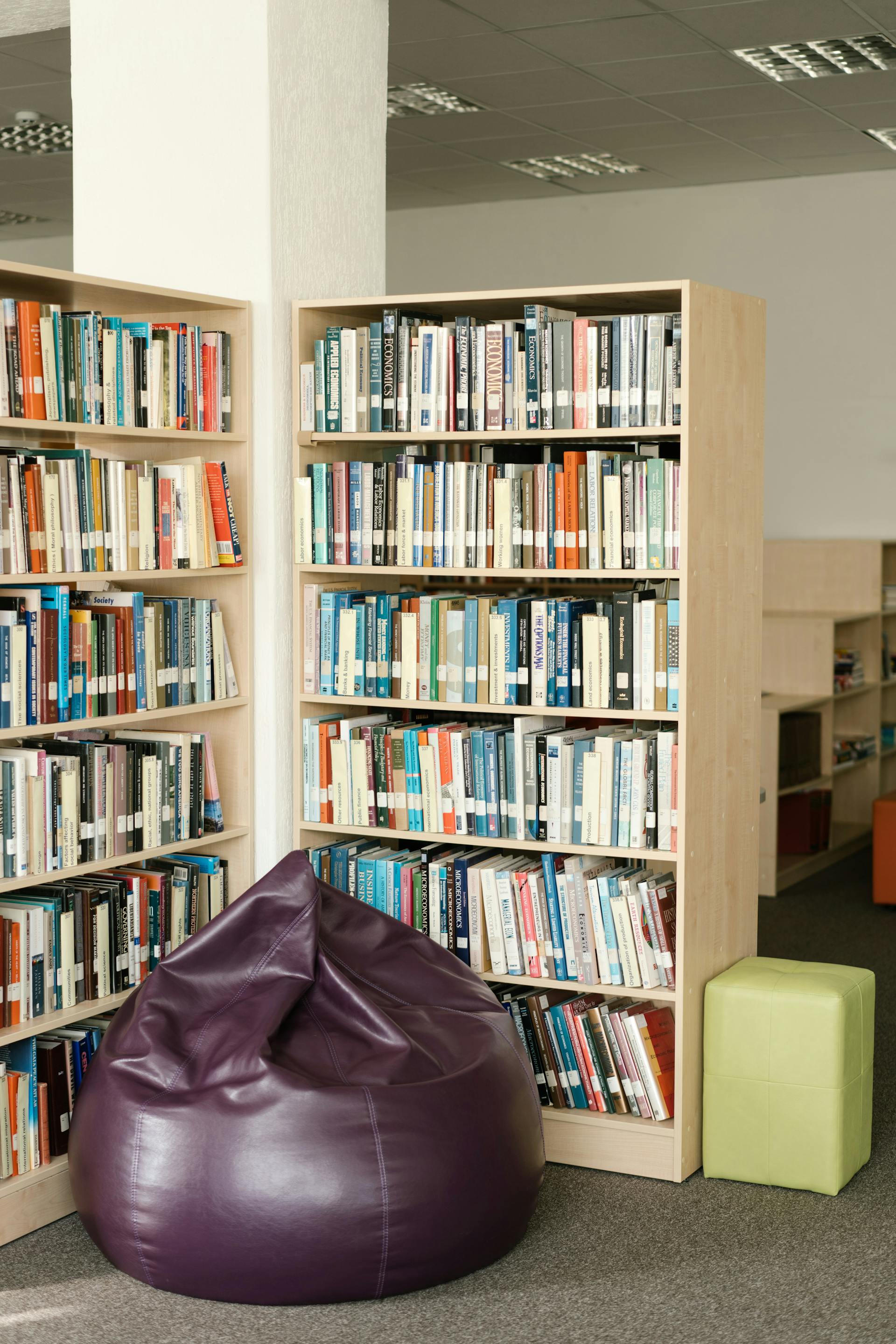 Thư viện, lybrary, trường học, school, sách, book - Mikhail Nilov