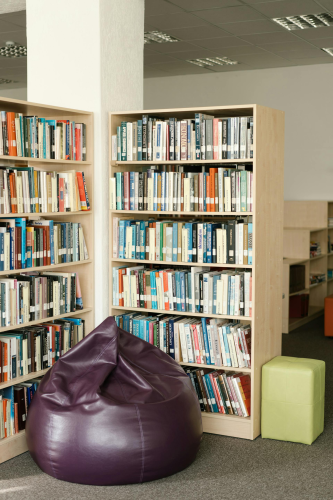 Thư viện, lybrary, trường học, school, sách, book - Mikhail Nilov