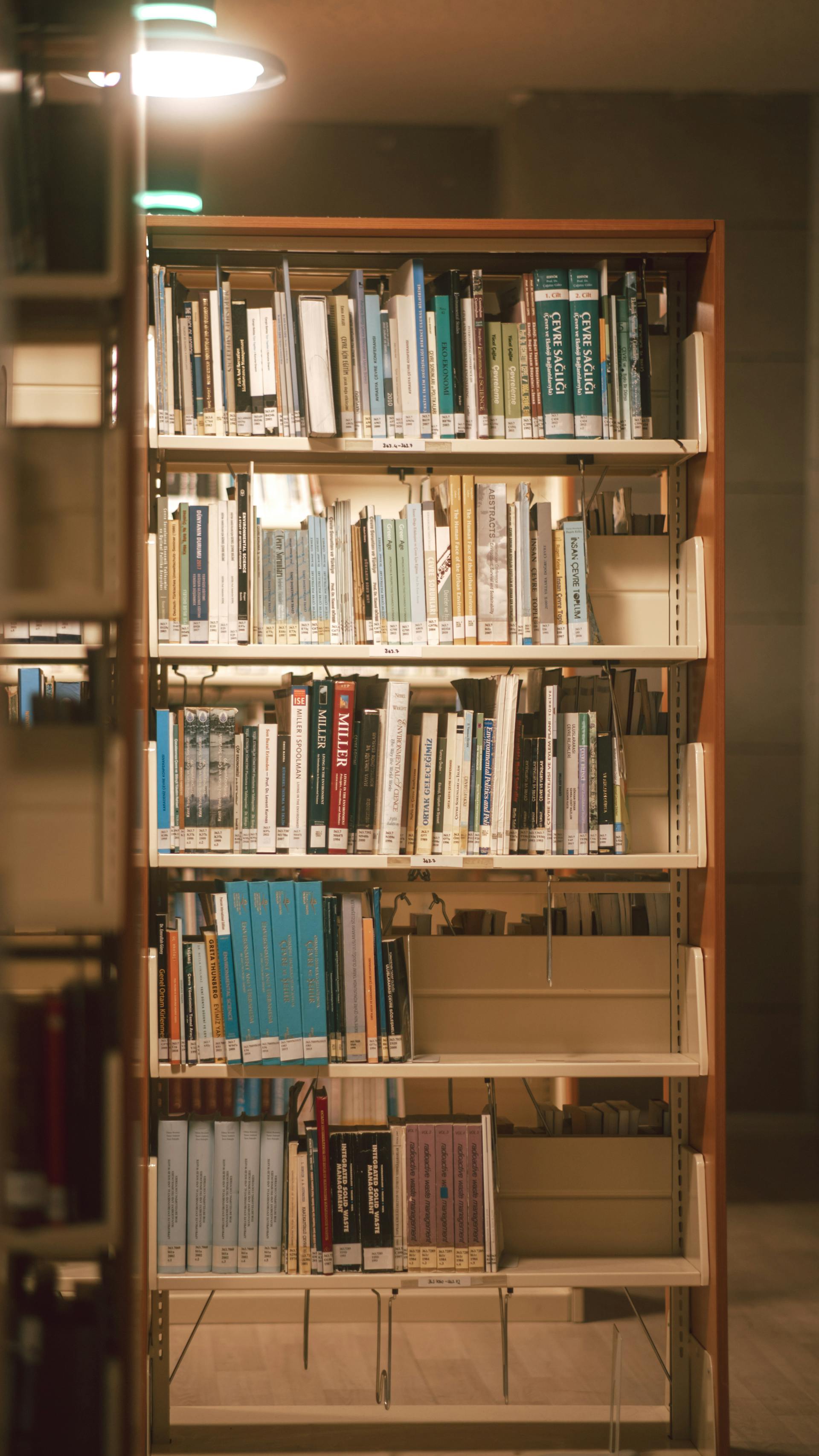 Thư viện, lybrary, trường học, school, sách, book - Orhan Pergel