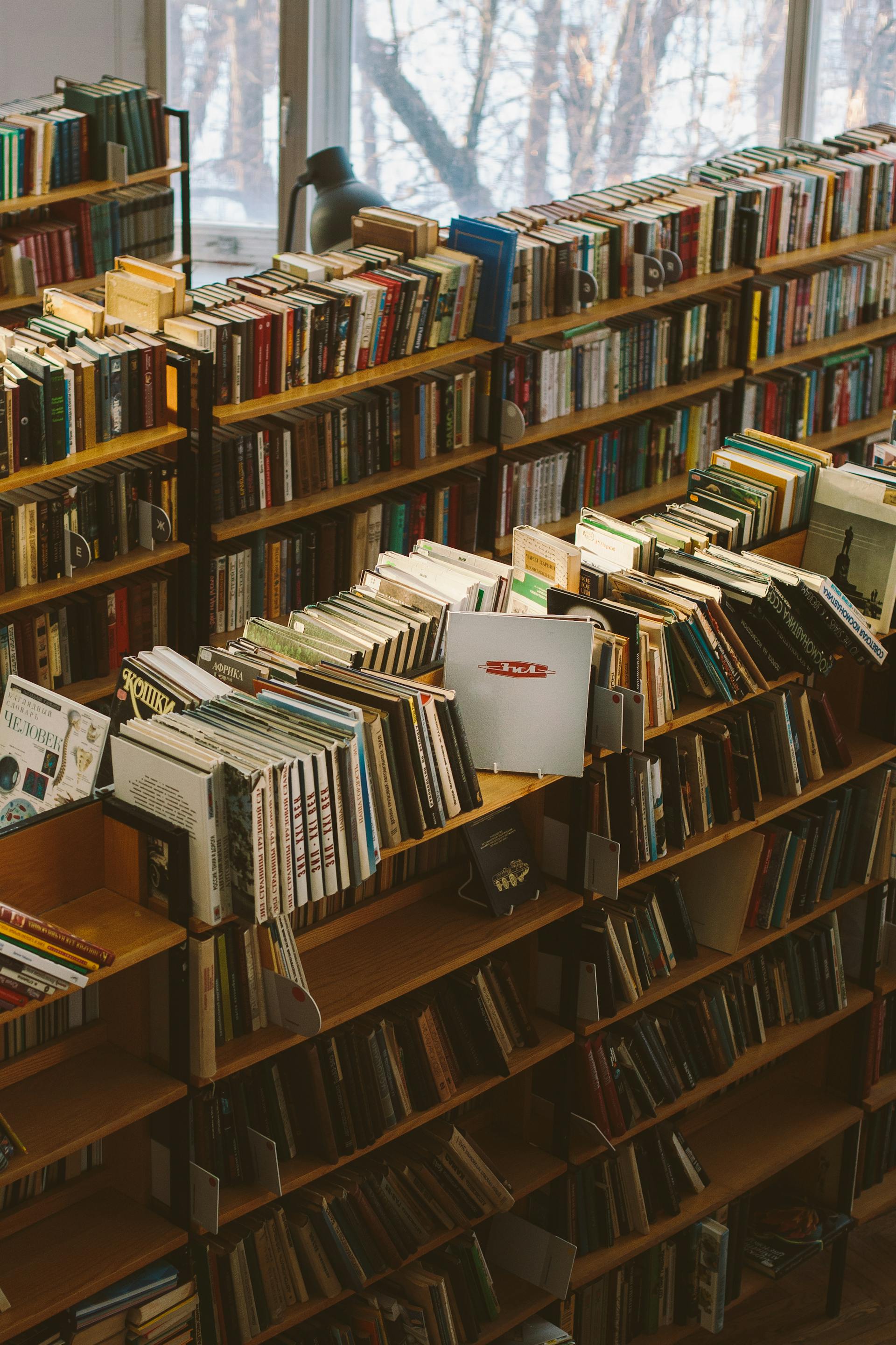 Thư viện, lybrary, trường học, school, sách, book - Polina Zimmerman