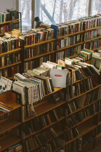 Thư viện, lybrary, trường học, school, sách, book - Polina Zimmerman
