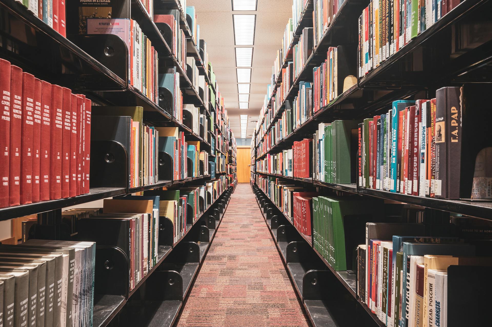 Thư viện, lybrary, trường học, school, sách, book - Zetong Li