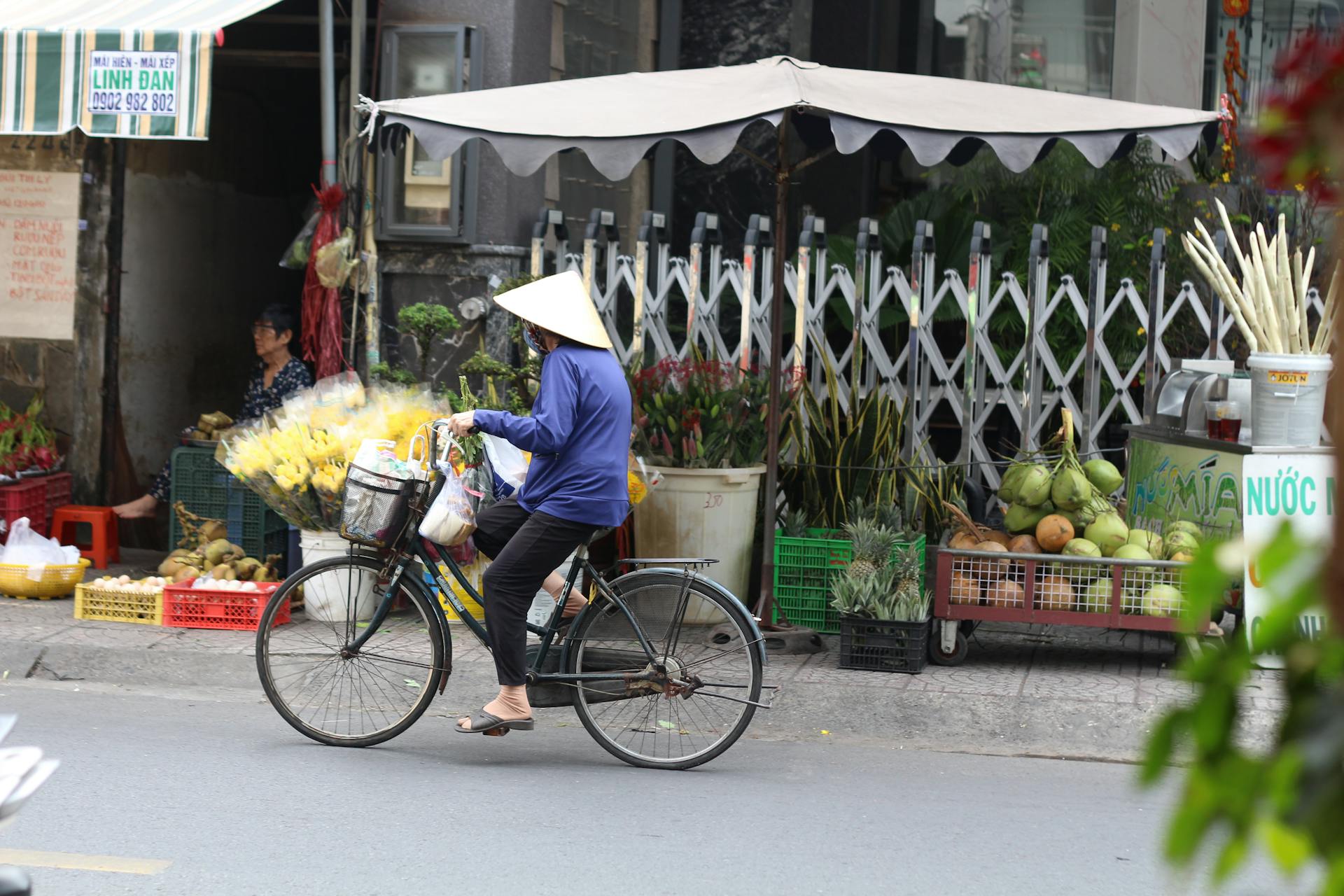 Xe đạp, bicycle, Việt Nam, Vietnam, nón lá, conical hat, chợ, market - Ray In Vietnam