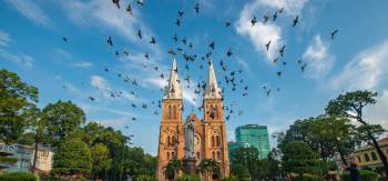 Nhà thờ Đức Bà, Nhà thờ, church, Hồ Chí Minh, ho chi minh city, background, hình nền, chim bồ câu - Binh Ho Image