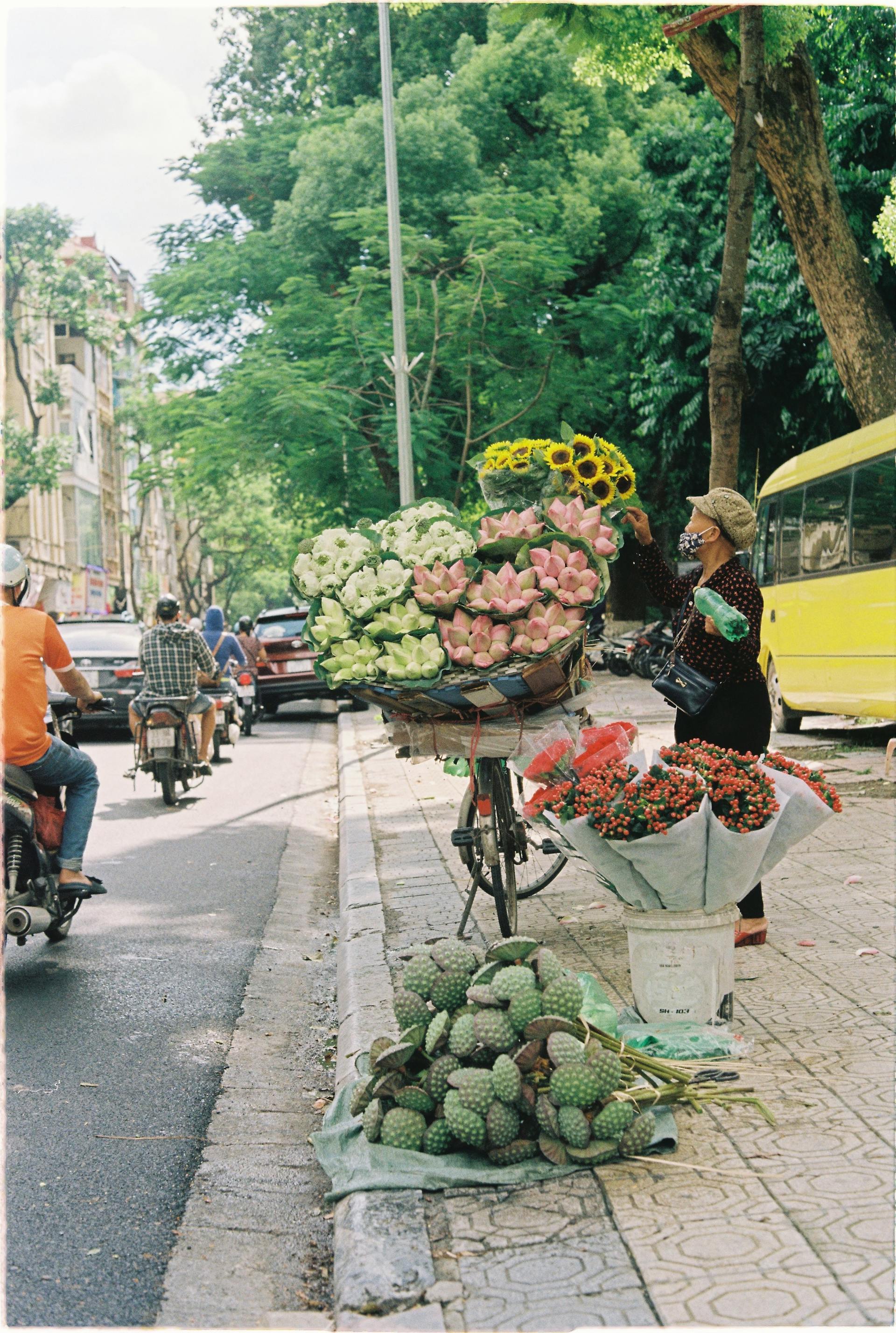 Xe đạp, bicycle, Việt Nam, Vietnam, xe máy, motorbike, hoa sen, lotus - Cien Nguyen