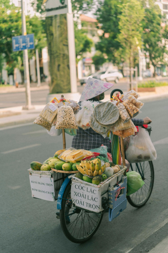 Xe đạp, bicycle, người bán hàng rong, street vendor, Việt Nam, Vietnam, nón lá, conical hat - Khanh Nguyen