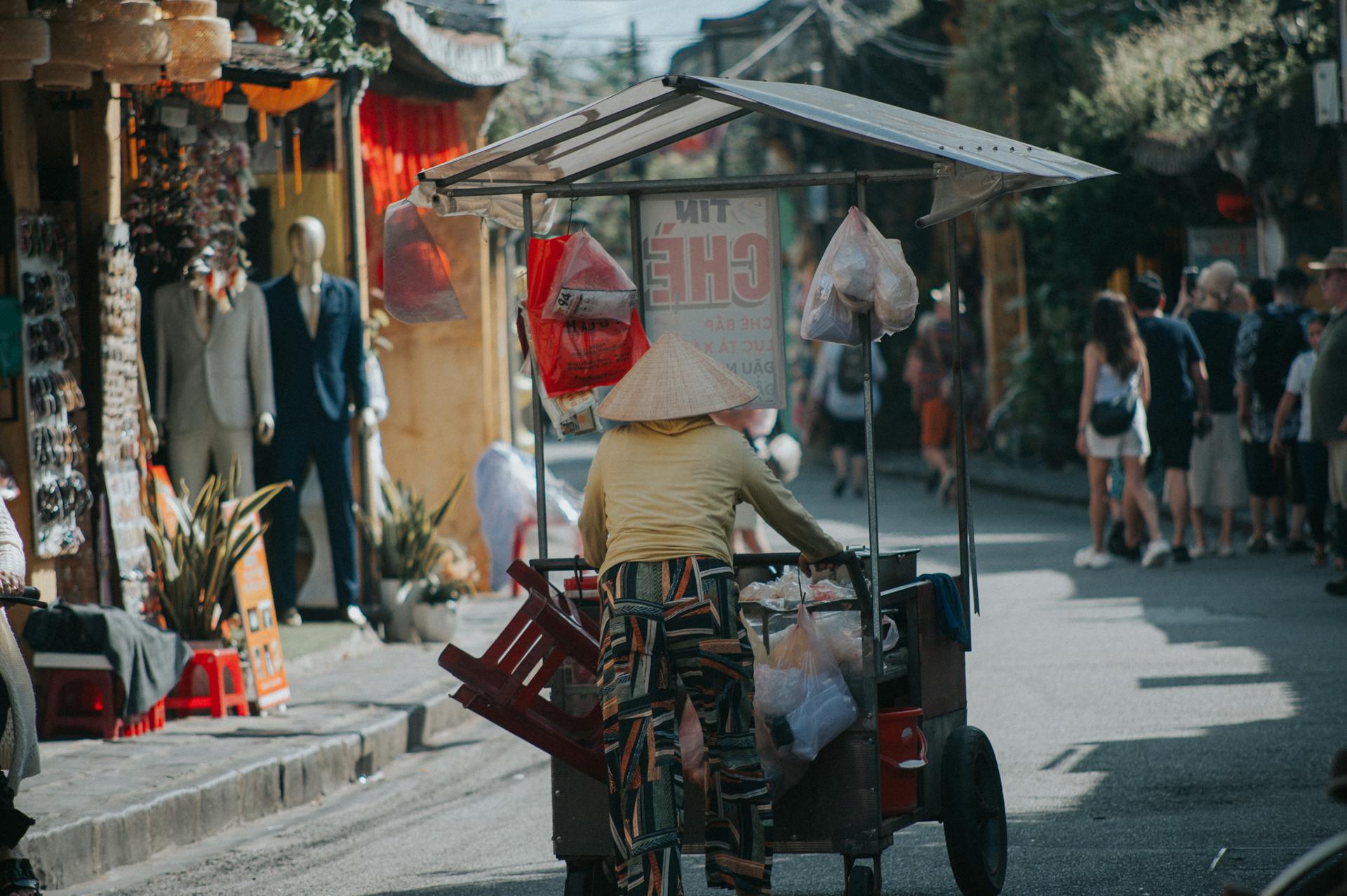 Xe đẩy hàng, vendor cart, Vietnam, Việt Nam, người bán hàng rong, street vendor, nón lá, conical hat - Đào Minh Tự