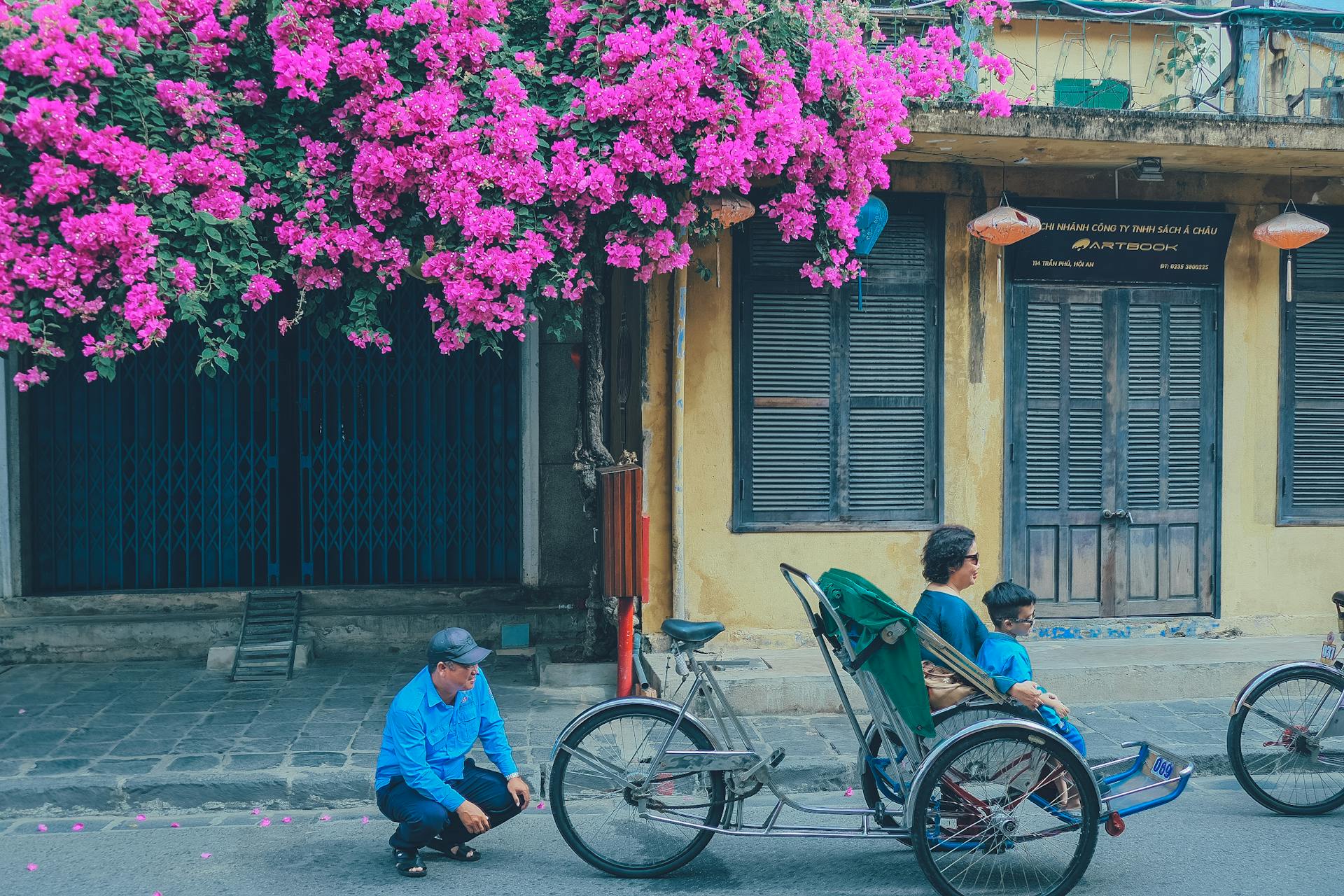 Xích lô, cyclo, Vietnam, Việt Nam, người lái xích lô, cyclo driver, hoa giấy, bougainvillea - Kim Nguyen