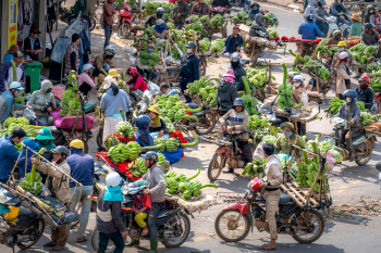Xe máy, motorbike, Vietnam, Việt Nam, chuối, bananas - Quang Nguyen Vinh 1 1