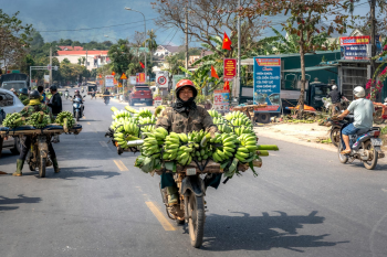 Xe máy, motorbike, Vietnam, Việt Nam, chuối, bananas - Quang Nguyen Vinh