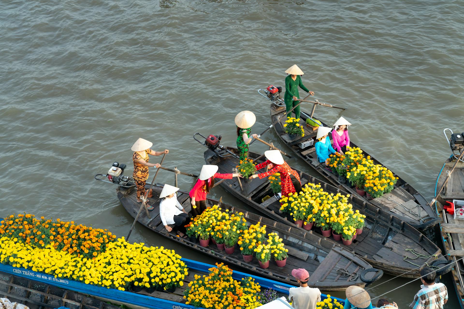 Thuyền hoa, flower boat, Việt Nam, Vietnam, nón lá, conical hat, chợ nổi, floating market, sông, river - Quang Nguyen Vinh