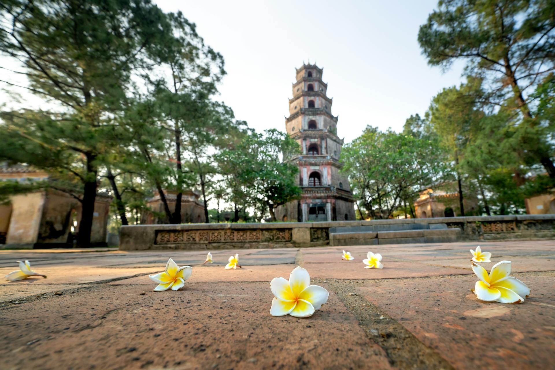 Chùa Thiên Mụ, Thiên Mụ Pagoda, Huế, hoa, flowers, kiến trúc cổ, ancient architecture - Quang Nguyen Vinh