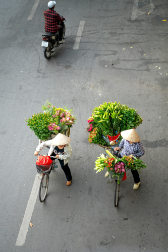 Xe đạp, bicycle, xe máy, motorbikes, hoa sen, lotus, nón lá, conical hat, Vietnam, Việt Nam - Quang Nguyen Vinh
