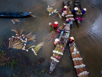 Thuyền, boat, sông, river, Việt Nam, Vietnam, người lái thuyền, boat operator, chợ nổi, floating market, hoa sen, lotus, nón lá, conical hat - Quang Nguyen Vinh