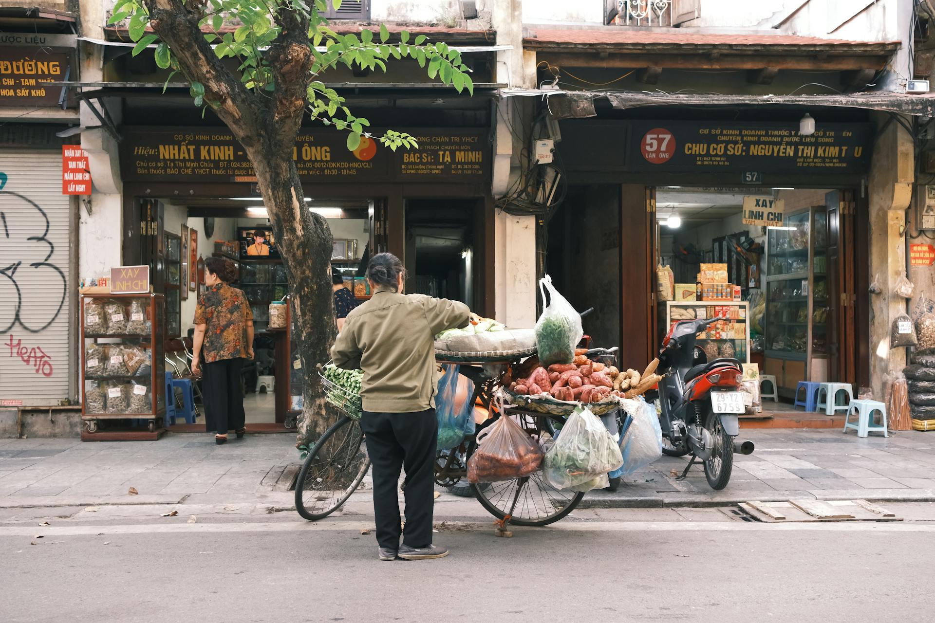 Xe đạp, bicycle, người bán hàng rong, street vendor, Việt Nam, Vietnam, rau củ quả, vegetables and fruits, xe máy, motorbike - Thuan Pham