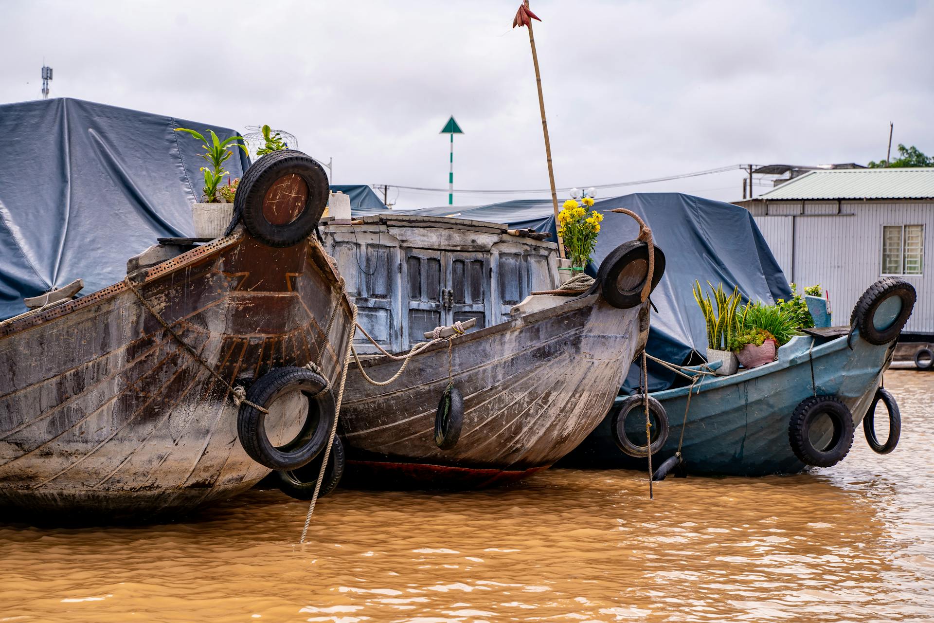 Thuyền, boat, sông, river, Việt Nam, Vietnam, chợ nổi, floating market, wallpaper, background - Vietnam Tri Duong Photographer