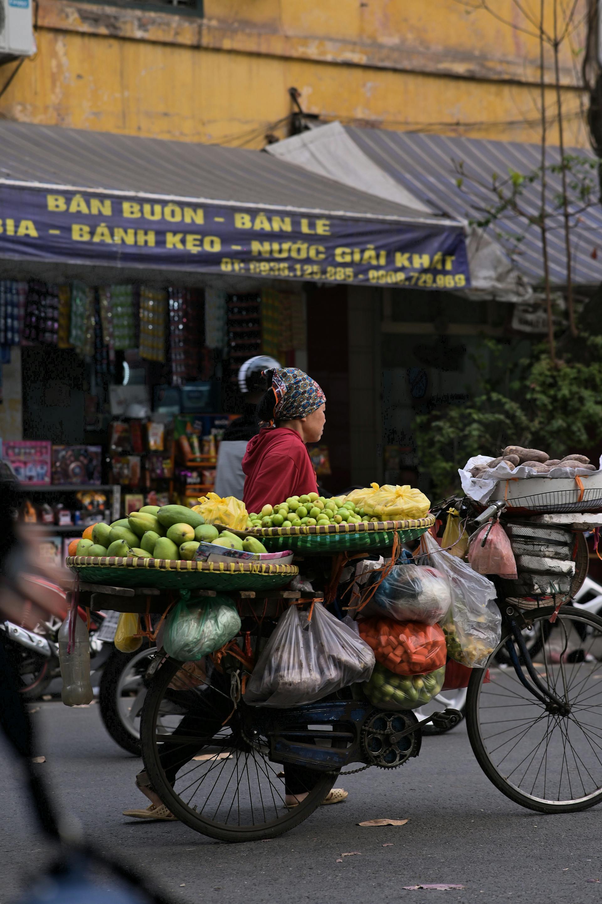 Xe đạp, bicycle, người bán hàng rong, street vendor, Việt Nam, Vietnam, nón lá, conical hat, trái cây, fruit - Viett Anh