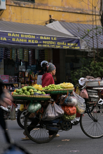 Xe đạp, bicycle, người bán hàng rong, street vendor, Việt Nam, Vietnam, nón lá, conical hat, trái cây, fruit - Viett Anh