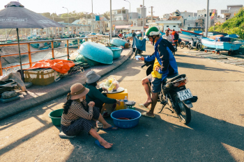Thuyền đánh cá, fishing boat, thuyền thúng, basket boat, biển, sea, Việt Nam, Vietnam, xe máy, motorbike - Vũ Bụi