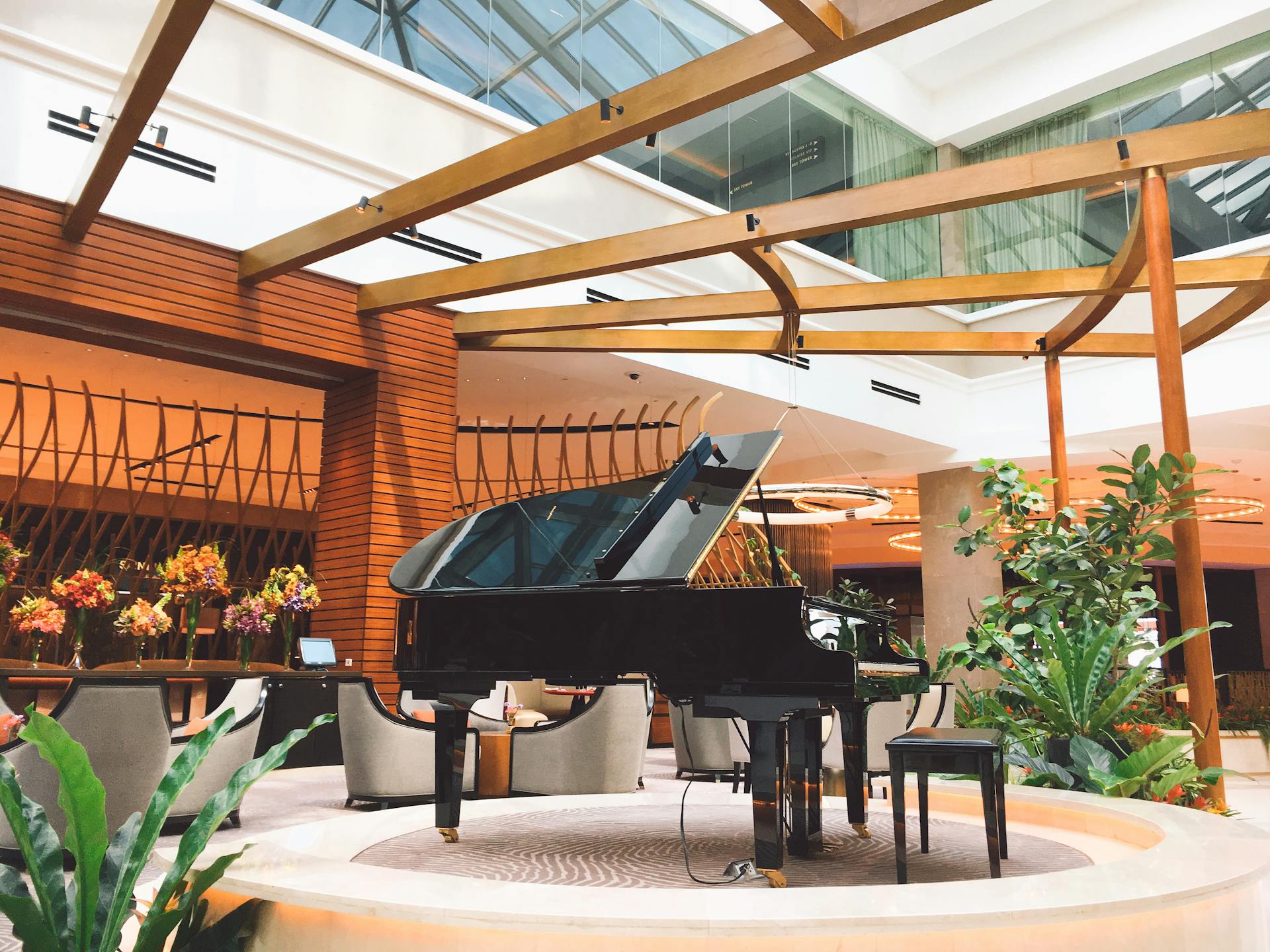 Piano, đàn piano, đàn, instrument, âm nhạc, music, giải trí, entertainment - Thuyen Vu؜