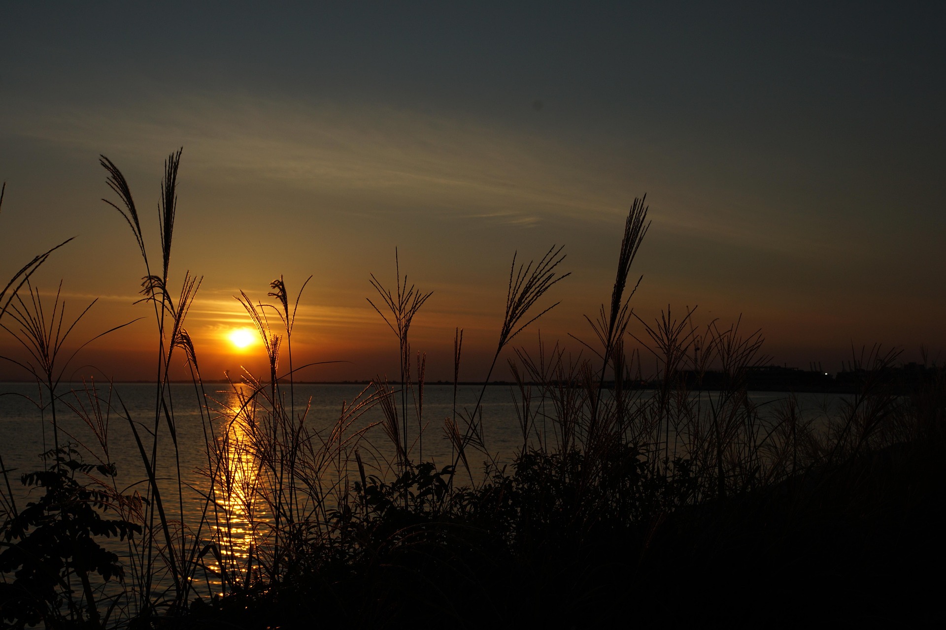 Hồ, sông, hoàng hôn, cỏ, lake, river, sunset, grass- mitto
