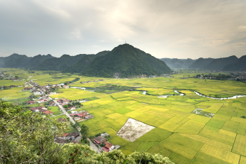 Thung lũng Bắc Sơn, ruộng bậc bằng, Bac Son Valley, golden rice fields,Việt Nam, hình nền, nền, background