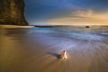 Vỏ ốc, seashell, bãi biển, beach, cát vàng, yellow sand, sóng biển, sea wave - Quangpraha 1