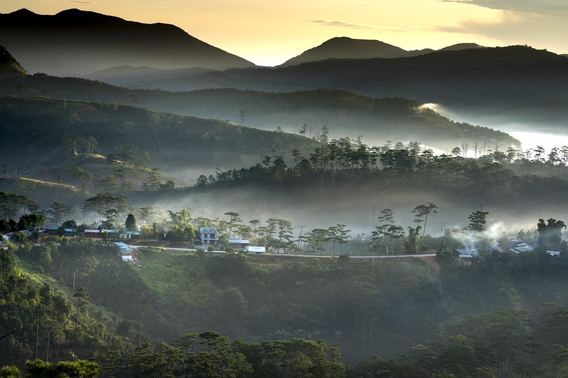 Sương mù, rừng thông, Đà Lạt, hoàng hôn,sunset, Fog, pine forest, Dalat, hình nền, nền, background