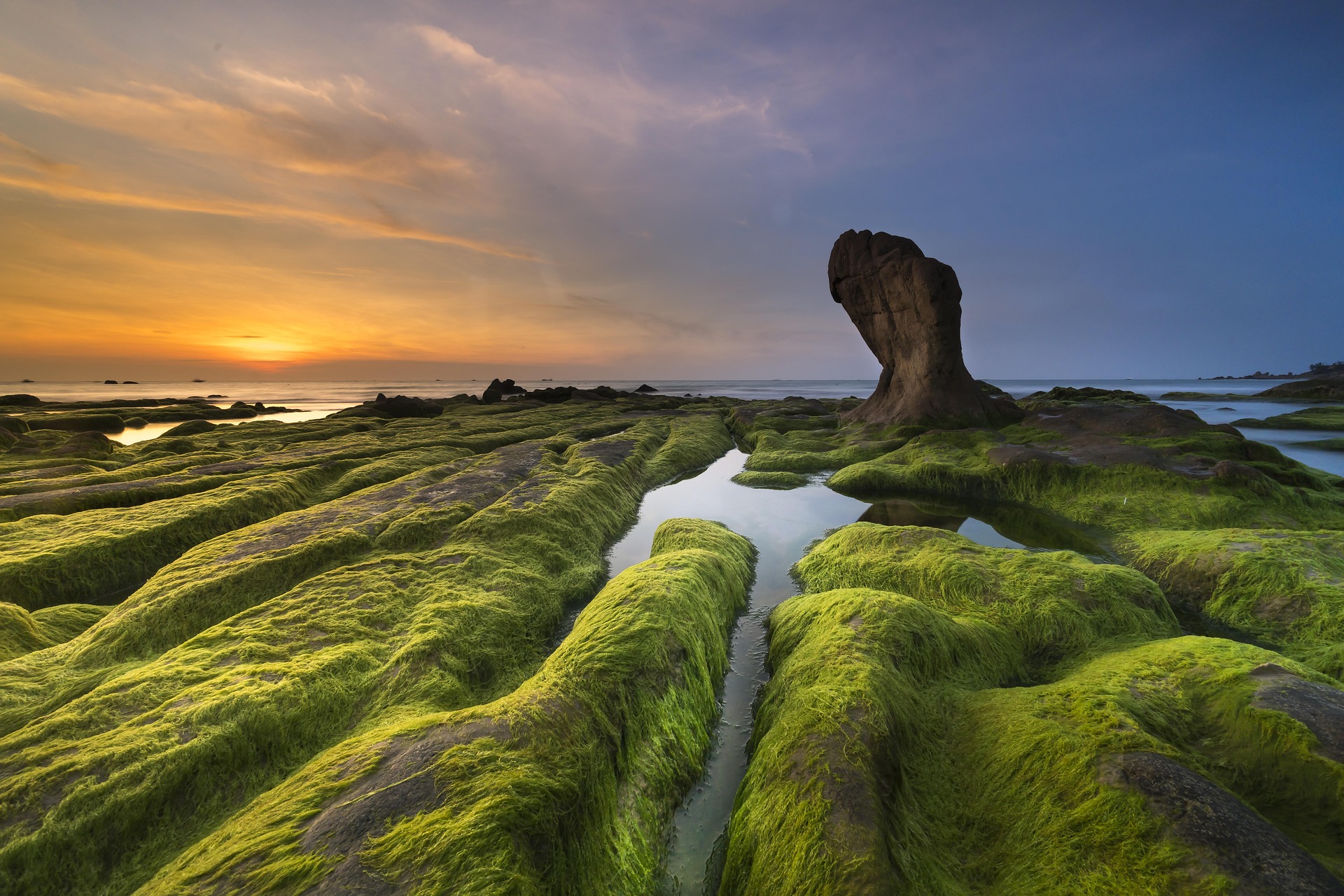 Bãi đá, rêu xanh, Rock beach, green moss, hình nền, nền, background -Quangpraha 2
