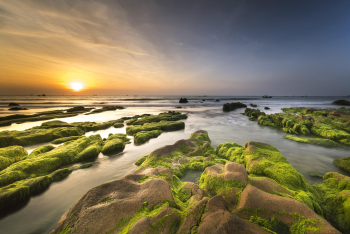 Bãi đá, rêu xanh, Rock beach, green moss, hình nền, nền, background -Quangpraha 3