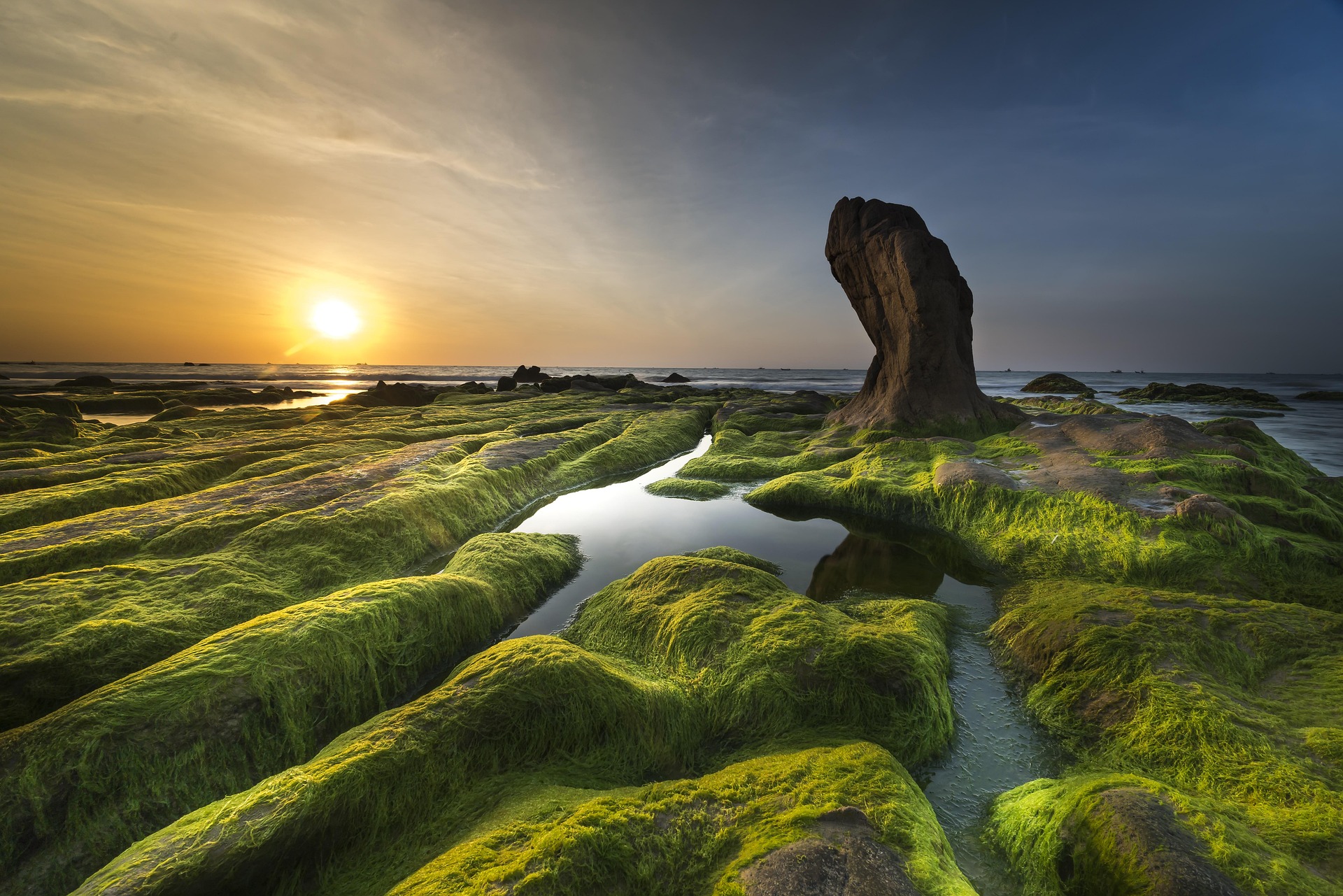 Bãi đá, rêu xanh, Rock beach, green moss, hình nền, nền, background -Quangpraha 4