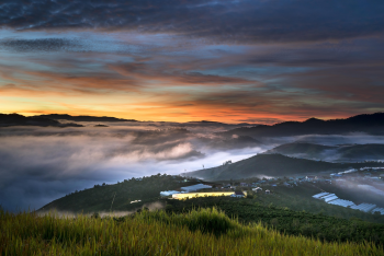 Cánh đồng lúa, rice field, núi, mountain, sky, bầu trời, hoàng hôn, sunset- Quangpraha 1