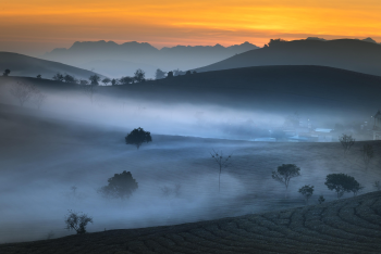 Ruộng bậc thang, sương mù, bình minh, hoàng hôn, hình nền, nền, background -Quangpraha 5