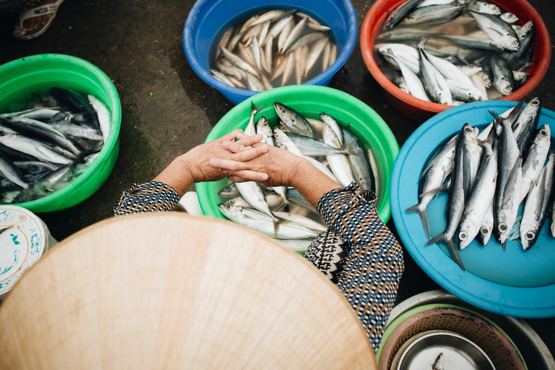 Nông dân, Farmer, làng chài, đánh bắt cá, chợ, bán cá, fishing village, fishing, market, fish selling, hình nền, nền, background -trilemedia 3