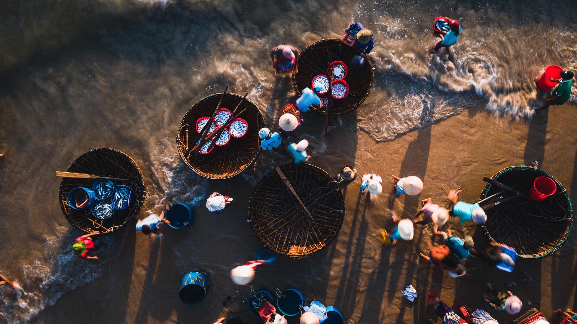 Nông dân, Farmer, làng chài, đánh bắt cá, chợ, bán cá, fishing village, fishing, market, fish selling, hình nền, nền, background -trilemedia