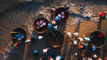 Nông dân, Farmer, làng chài, đánh bắt cá, chợ, bán cá, fishing village, fishing, market, fish selling, hình nền, nền, background -trilemedia