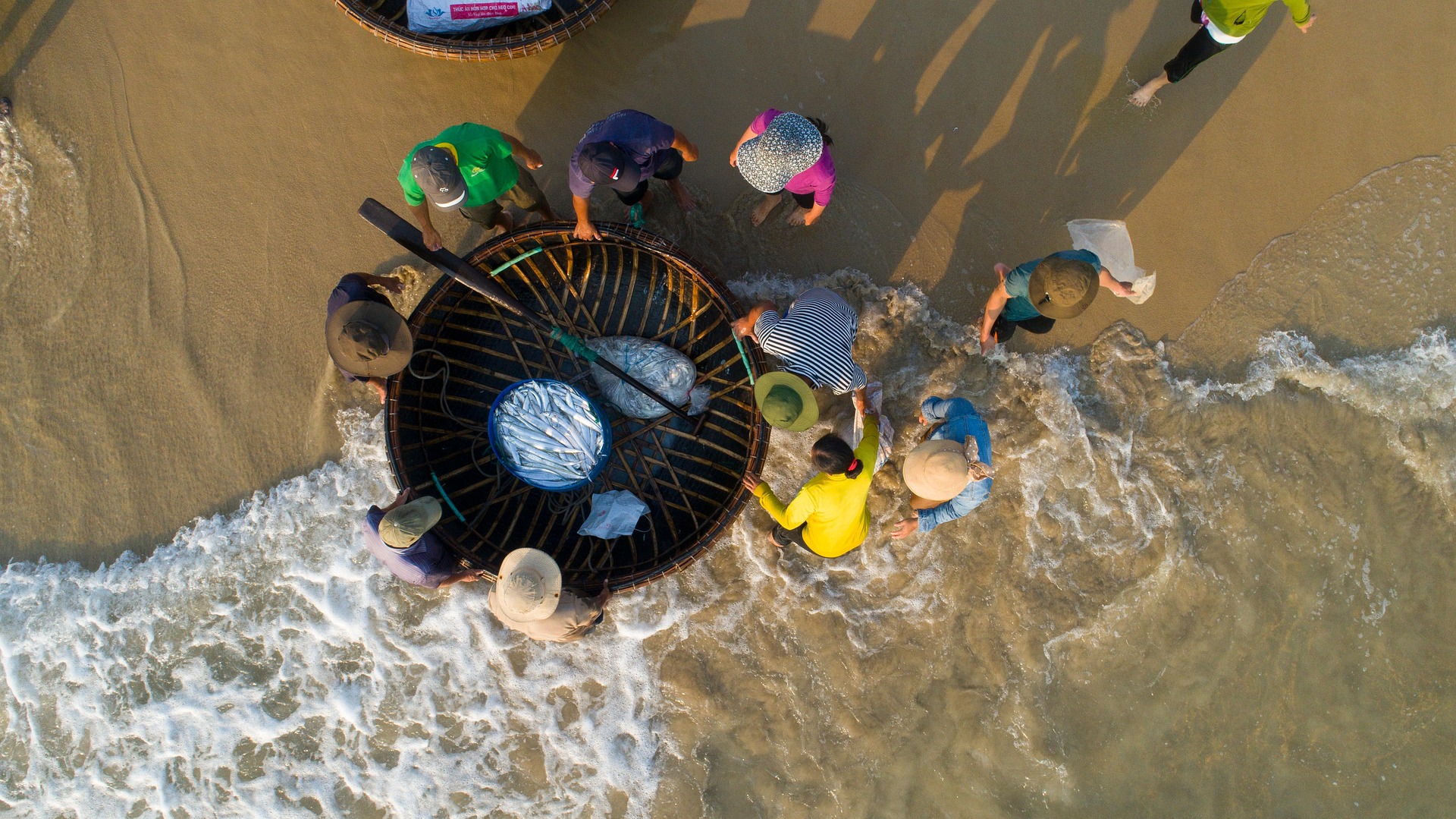 Nông dân, Farmer, làng chài, đánh bắt cá, chợ, bán cá, fishing village, fishing, market, fish selling, hình nền, nền, background -trilemedia 4