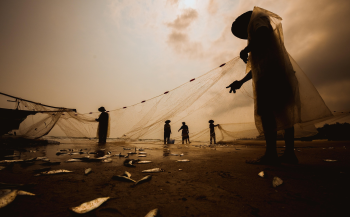 Nông dân, Farmer, làng chài, đánh bắt cá, chợ, bán cá, fishing village, fishing, market, fish selling, hình nền, nền, background -trilemedia 1