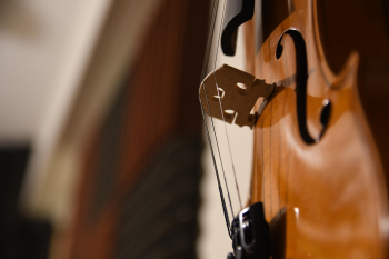 Violin, đàn vĩ cầm vĩ cầm, violin, vi ô lông, nhạc cụ, instrument, âm nhạc, music, giải trí, entertainment - MAGstd