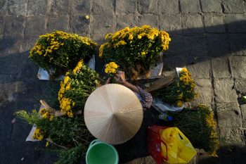 Chợ, hoa, bán hoa,Market, flowers, selling flowers, hình nền, nền, background -trilemedia